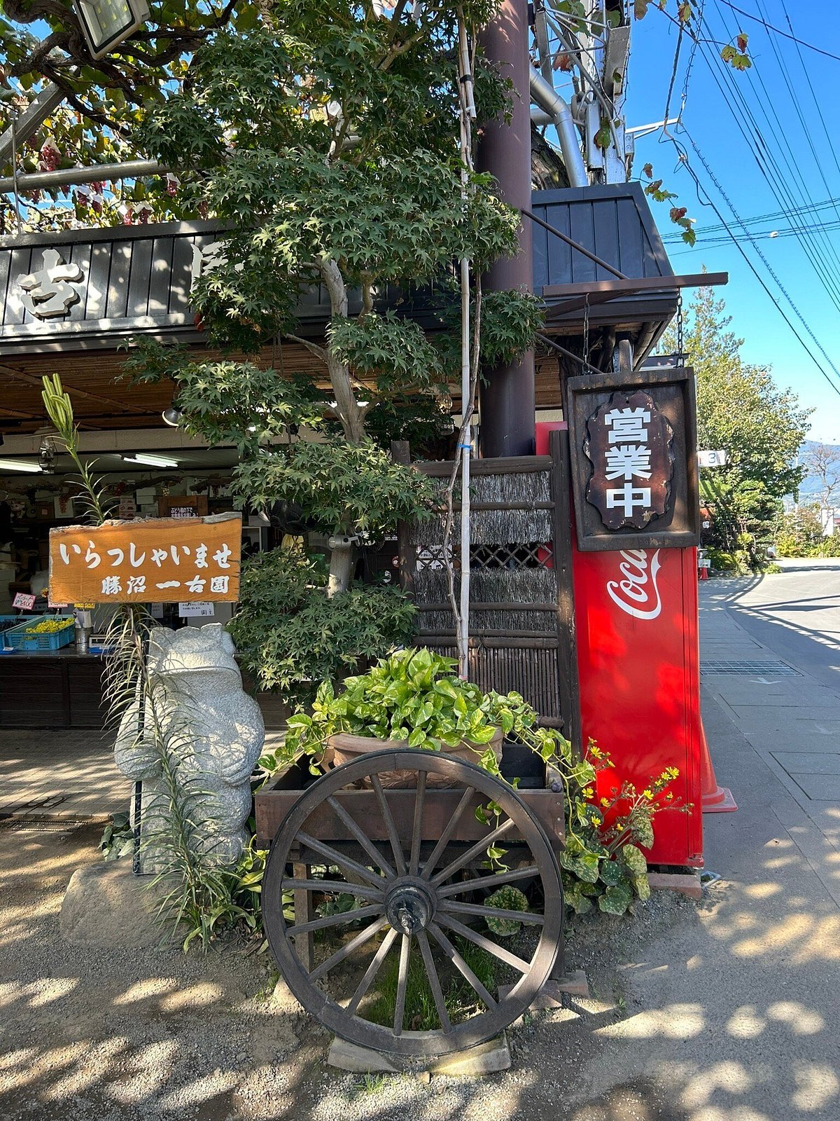 🍇 일고원 (Ichikoen) 이미지 9